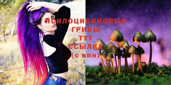 не бодяженный Аркадак