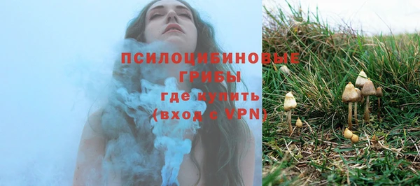 не бодяженный Аркадак
