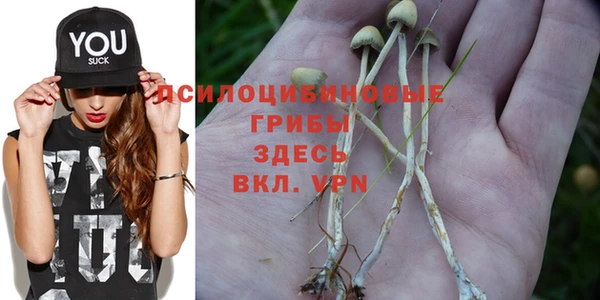 не бодяженный Аркадак