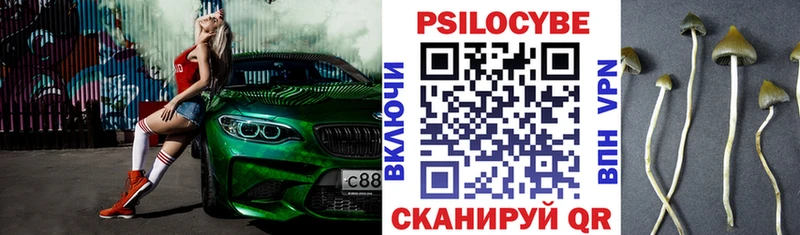 где продают наркотики  blacksprut   Псилоцибиновые грибы Cubensis  Мамоново 